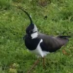 20160518_154321