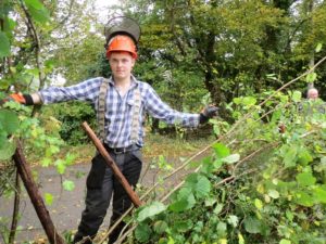 hedge1